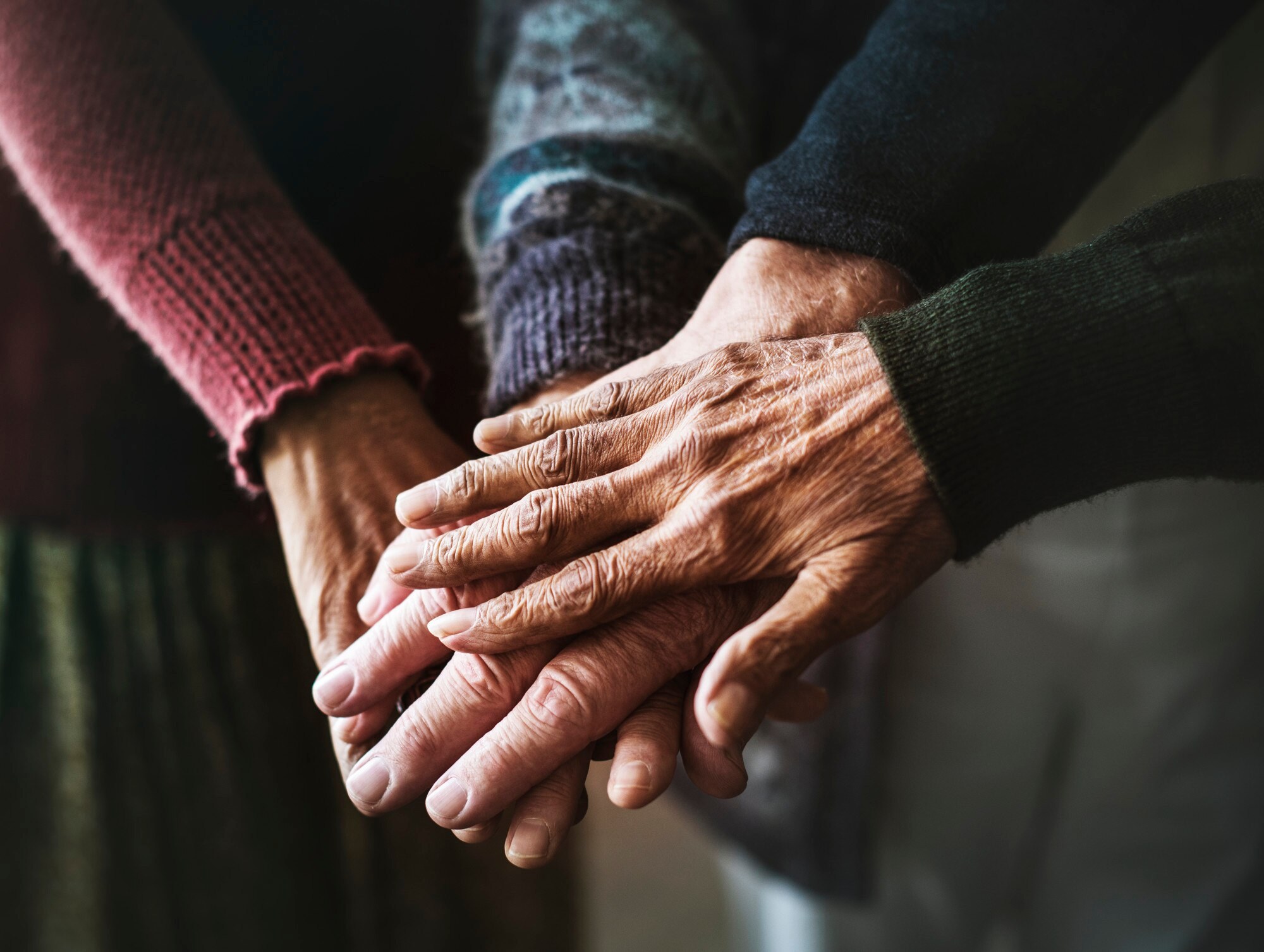 Indian elderly community gathering — PASALA Foundation gallery