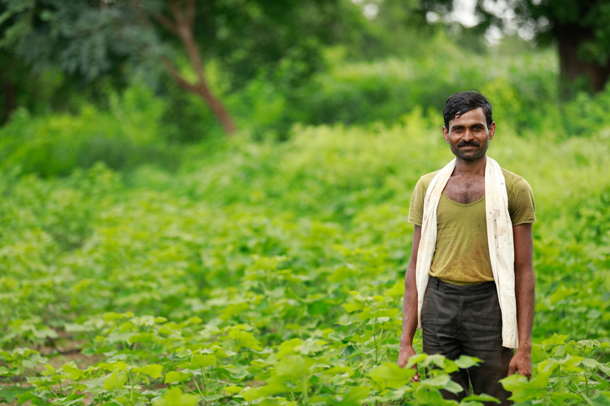Rajesh Kumar — Farmer Success India Indian farmer leader in green fields — PASALA Foundation success story